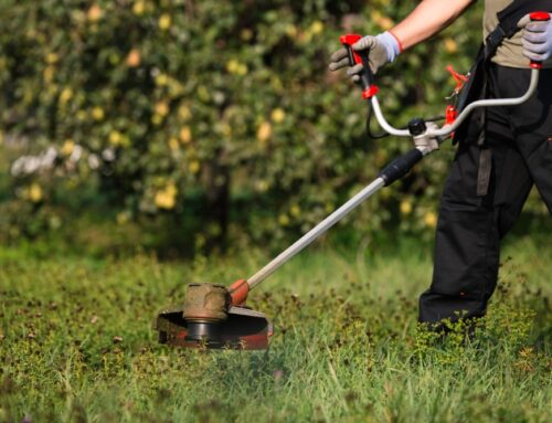 Seasonal Lawn Care: Simple Steps for a Greener Lawn Year-Round