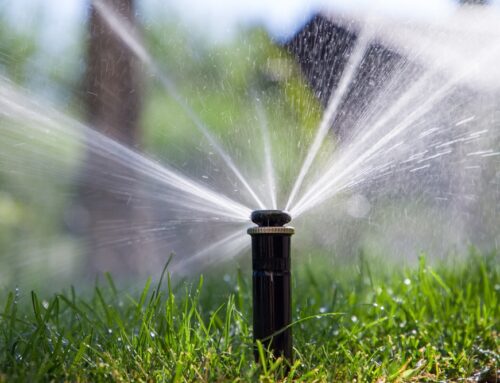 Keeping Your Garden Healthy with the Right Sprinkler System Installation