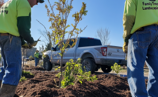 u5456191734_A_team_of_landscapers_installing_a_new_garden_bed_2906951b-fcee-48b0-87f3-85c3afc098e7_3 u5456191734_A_team_of_landscapers_installing_a_new_garden_bed_2906951b-fcee-48b0-87f3-85c3afc098e7_3